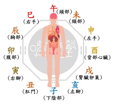 天機疾厄宮|紫微斗數：疾厄宮 – 籤詩網